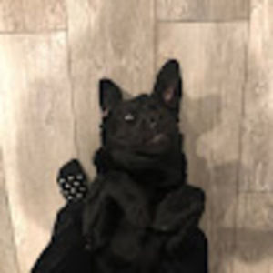 Meet your Posher, Kerry